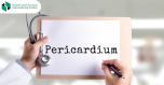 Pericardium