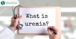   Uremia - When the blood is filled with waste products