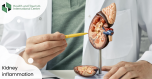  Kidney inflammation