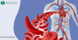 Signs of poor blood circulation