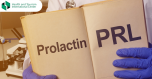Hormone prolactin - what function does it perform in the body?