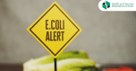 Escherichia coli (E. coli)
