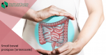 Enterocele - small bowel prolapse treatment methods