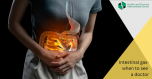 Accumulation of gases in the intestines - when should we consult a  doctor?