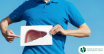 What is the function of the liver?