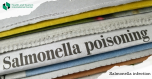 Salmonellosis - What causes the bacterial disease?