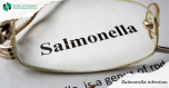 Salmonellosis - what are the symptoms of a bacterial disease  that affects the digestive system?