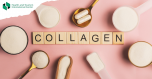 Why is collagen important?