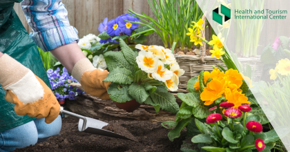 Садоводство укрепляет мышцы — как связь с природой помогает физическому и ментальному здоровью?