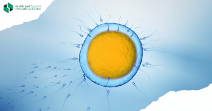 კვერცხუჯრედი