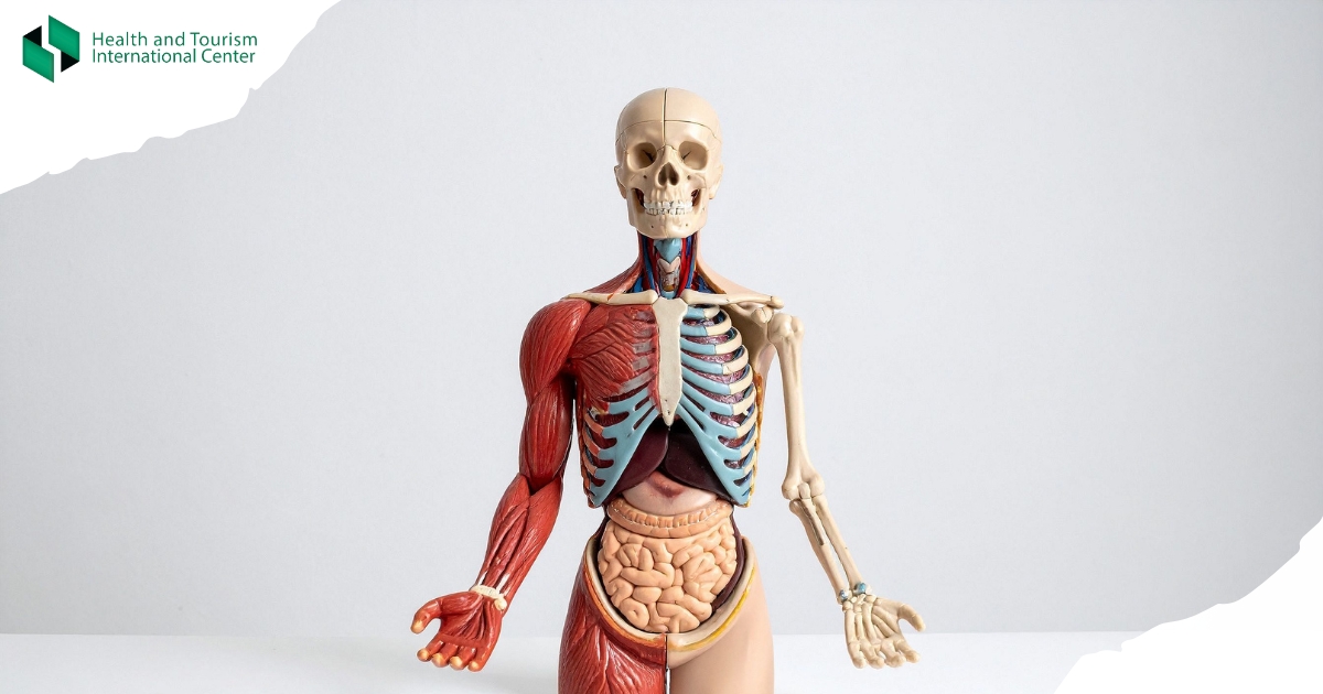  Костный шип